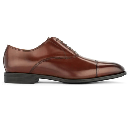 To Boot New York Dale Cognac Calf Leather Cap Toe Oxford